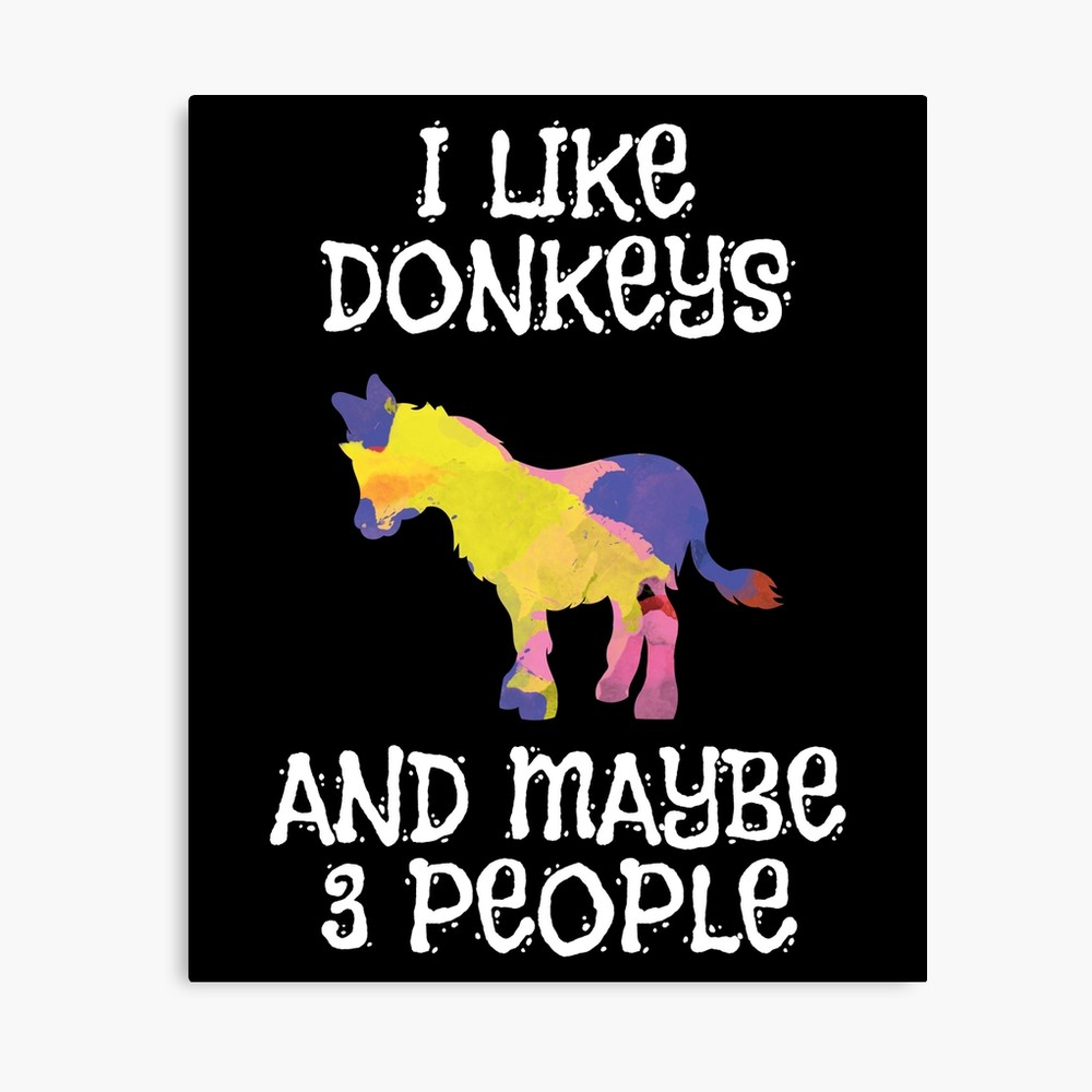 1000x1000 Funny I Like Donkey Drawing Quotes Tees Gifts Canvas Print