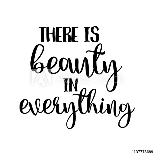500x500 There Is Beauty In Everything Inspiration Quotes Lettering