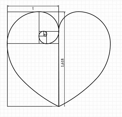 502x482 Fibonacci Heart Spiral In Geometric Drawing