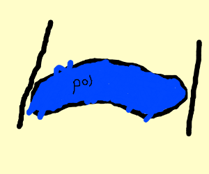 300x250 perfect drawingcaption ratio