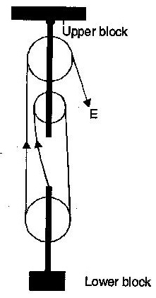 221x421 a block and tackle pulley system has a velocity ratio i draw