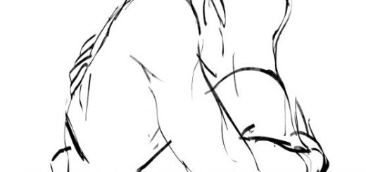 520x245 Character Design