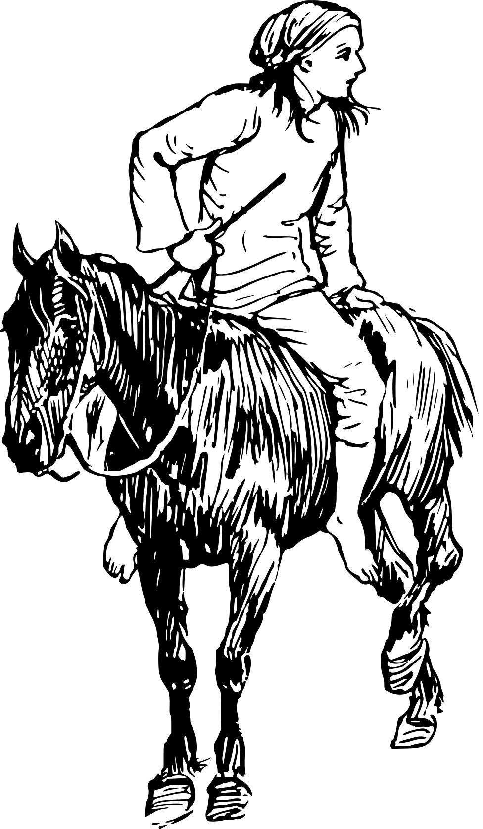 976x1673 Horse And Rider Clipart