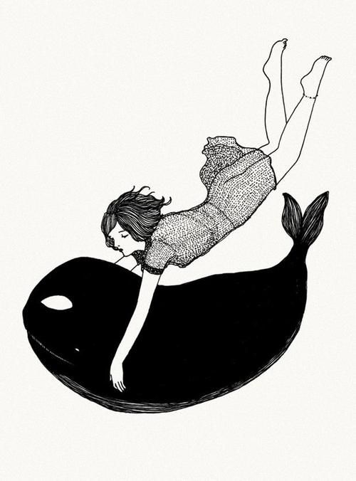 500x676 Artillustrationsetc Whale Drawing, Art