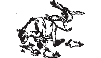 350x200 Collection Of Free Bull Drawing Rider Download On Ui Ex