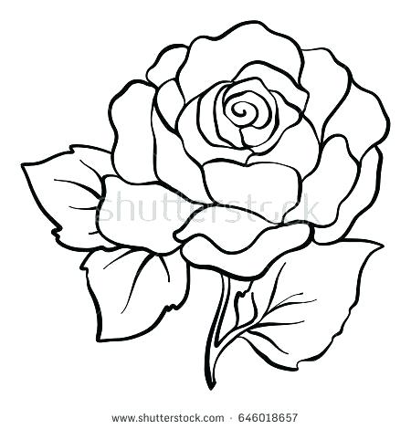 450x470 Easy Rose Drawing Running