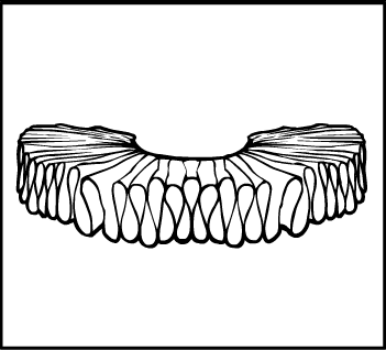 351x318 pop quiz ruffles heromachine character portrait creator