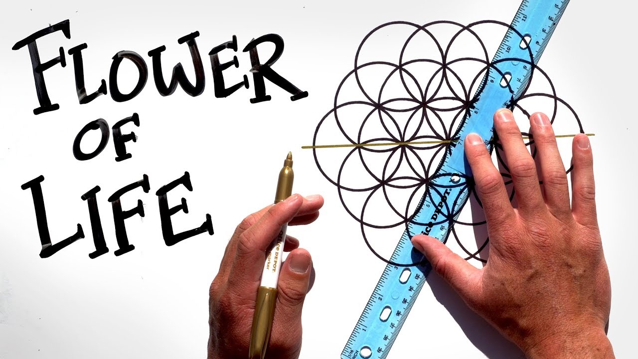 1280x720 The Pattern Of Creation