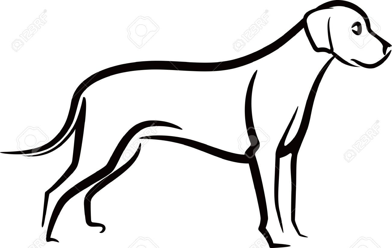 1300x825 Drawing Salve Dog For Free Download
