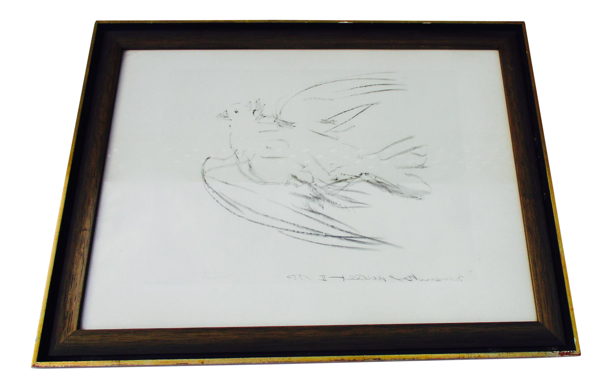 1947x1237 Collection Of Free Picasso Drawing Series Download On Ui Ex