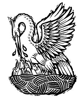 270x317 los y su significado el pelicano y significado