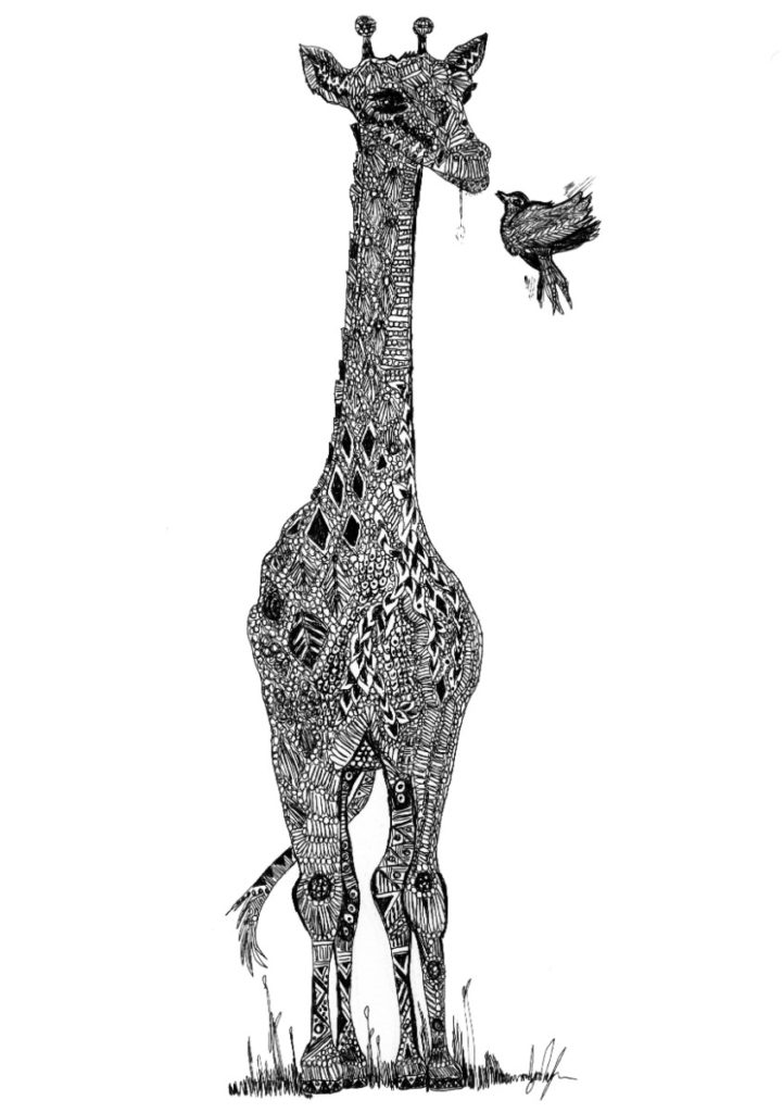 721x1024 black giraffe salty philip