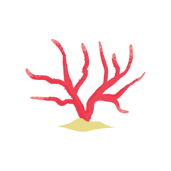 550x550 Collection Of Free Coral Drawing Soft Download On Ui Ex