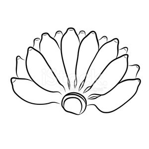 300x300 Hand Drawing Banana Premium Clipart