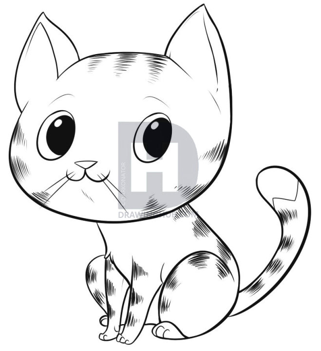 659x720 How To Draw An Easy Cat, Step