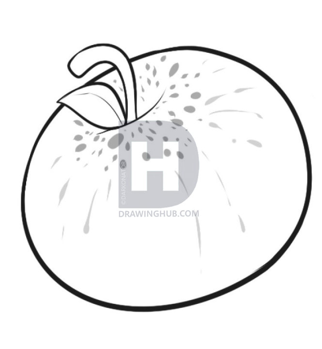 665x720 How To Draw Apples, Step