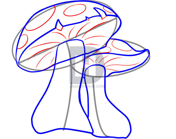 728x579 How To Draw Mushrooms, Step