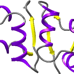 250x250 Molecular Graphics