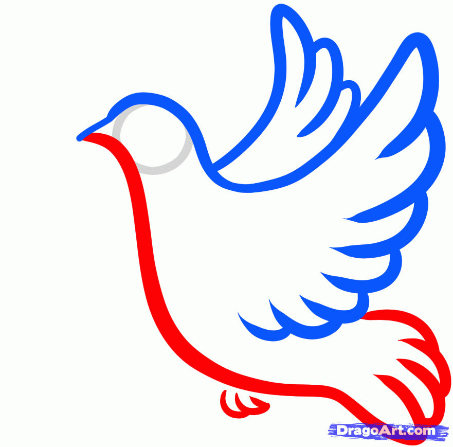 881x869 How To Draw A Dove Tattoo, Step