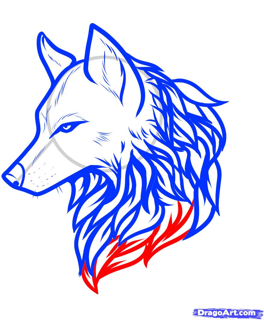 878x1065 How To Draw A Wolf Tattoo, Wolf Tattoo, Step