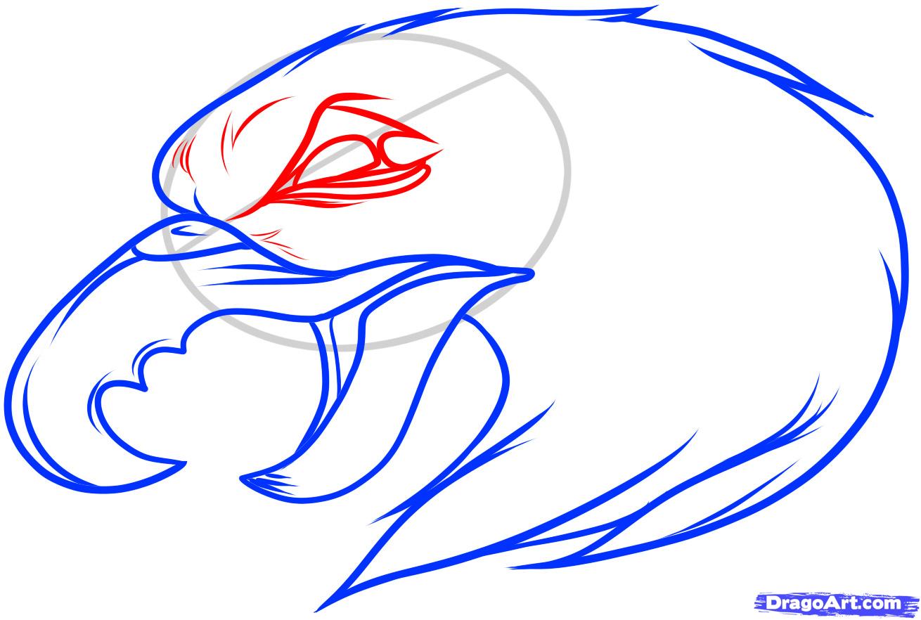 1310x882 How To Draw An Eagle Tattoo, Eagle Tattoo, Step