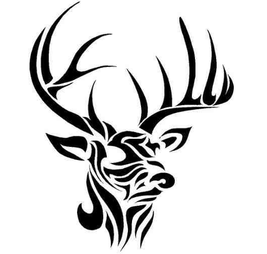 530x505 Image Result For How To Draw Animal Tattoo Step