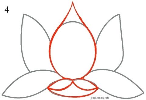 480x328 Lotus Flower Drawing Step