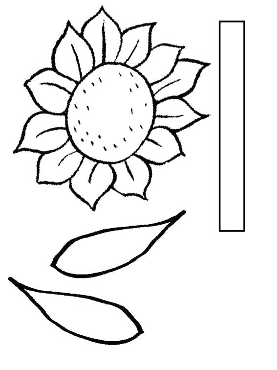 567x756 Sunflower Templates Free Download