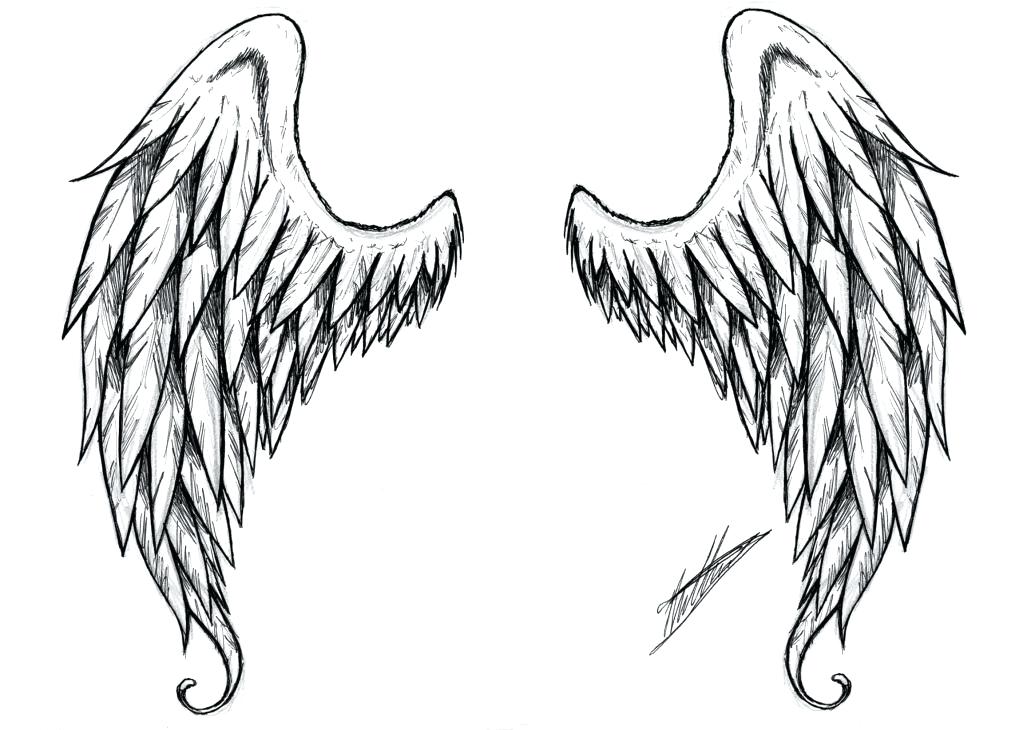 1023x730 Angel Wings Drawings Free Premium Templates Design Drawing Template