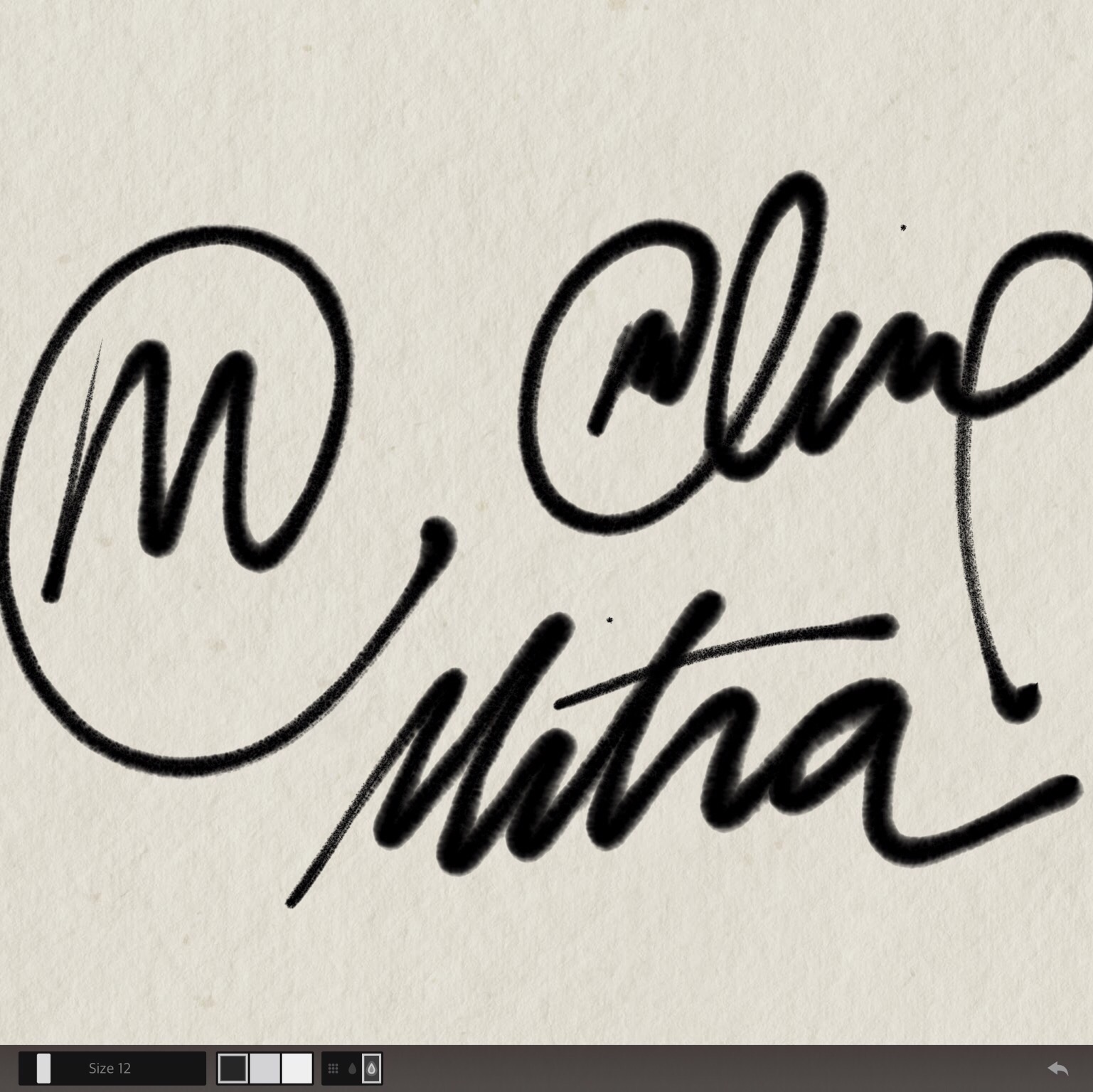 1537x1536 Ipad Pro And Pencil Dream Drawings Mitra's Artist Diary