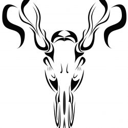 250x250 buck easy draw converter curtains lyrics deer bunny brothers