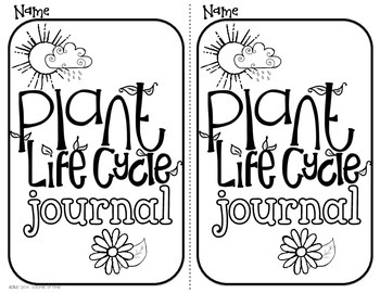 350x270 Plant Life Cycle {freebie}
