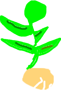 263x448 Plant Life Cycle Tynker