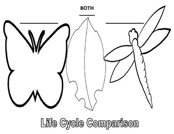 350x270 various life cycle venn diagrams in shape of animalplant