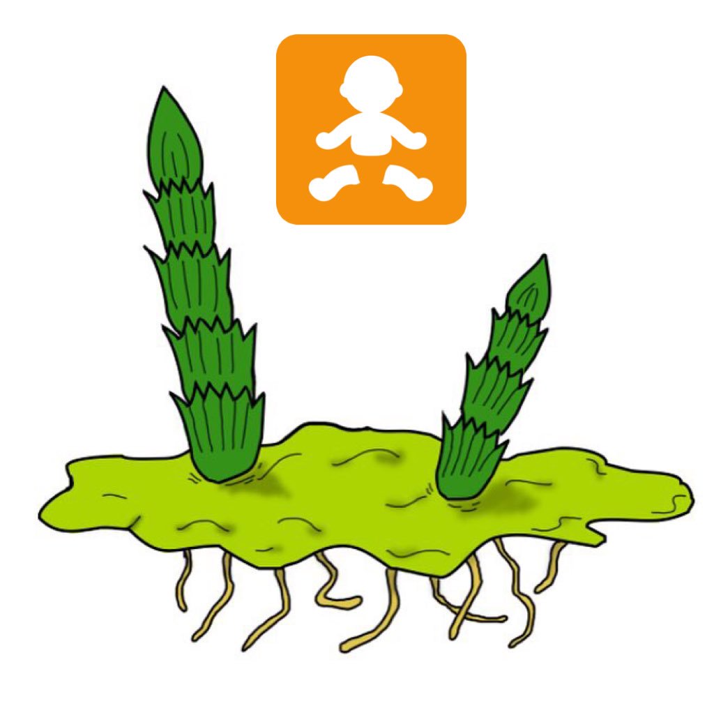 1024x1022 Botanyart Hashtag On Twitter