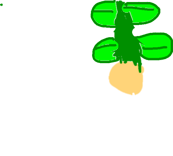 601x541 Plant Life Cycle Tynker