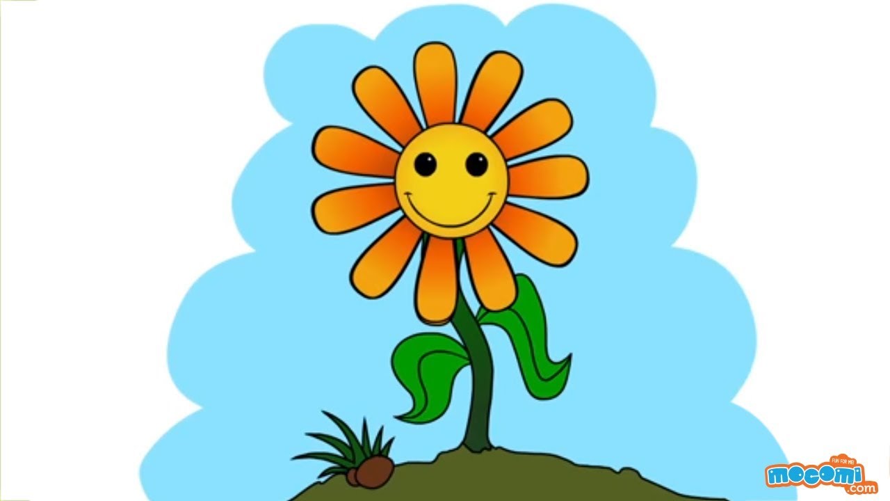 1280x720 How To Draw A Sunflower