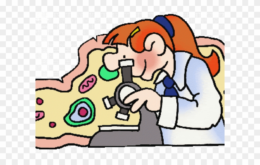 880x560 Clip Transparent Stock Science Word Cliparts Free Download