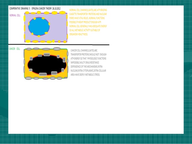638x479 Efruzhu Cancer Theory