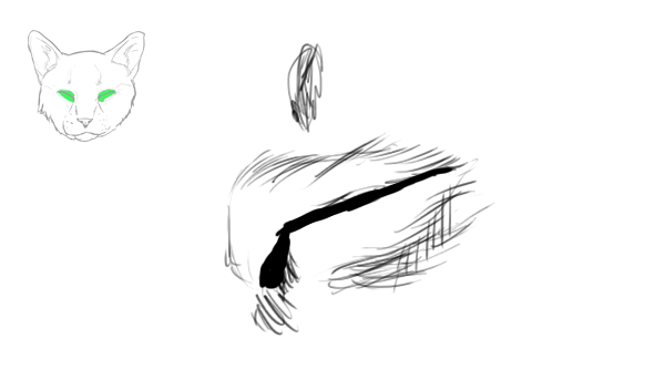 600x352 How To Draw Animals Cats And Their Anatomy