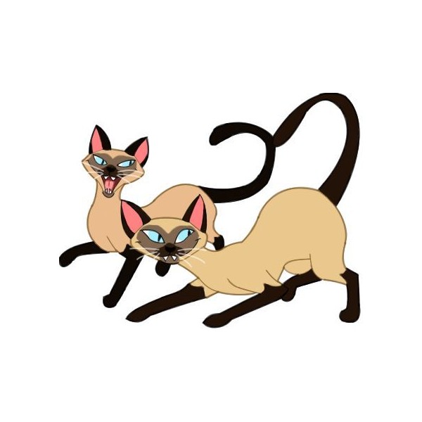 600x600 Siamese Cat Clipart Drawing