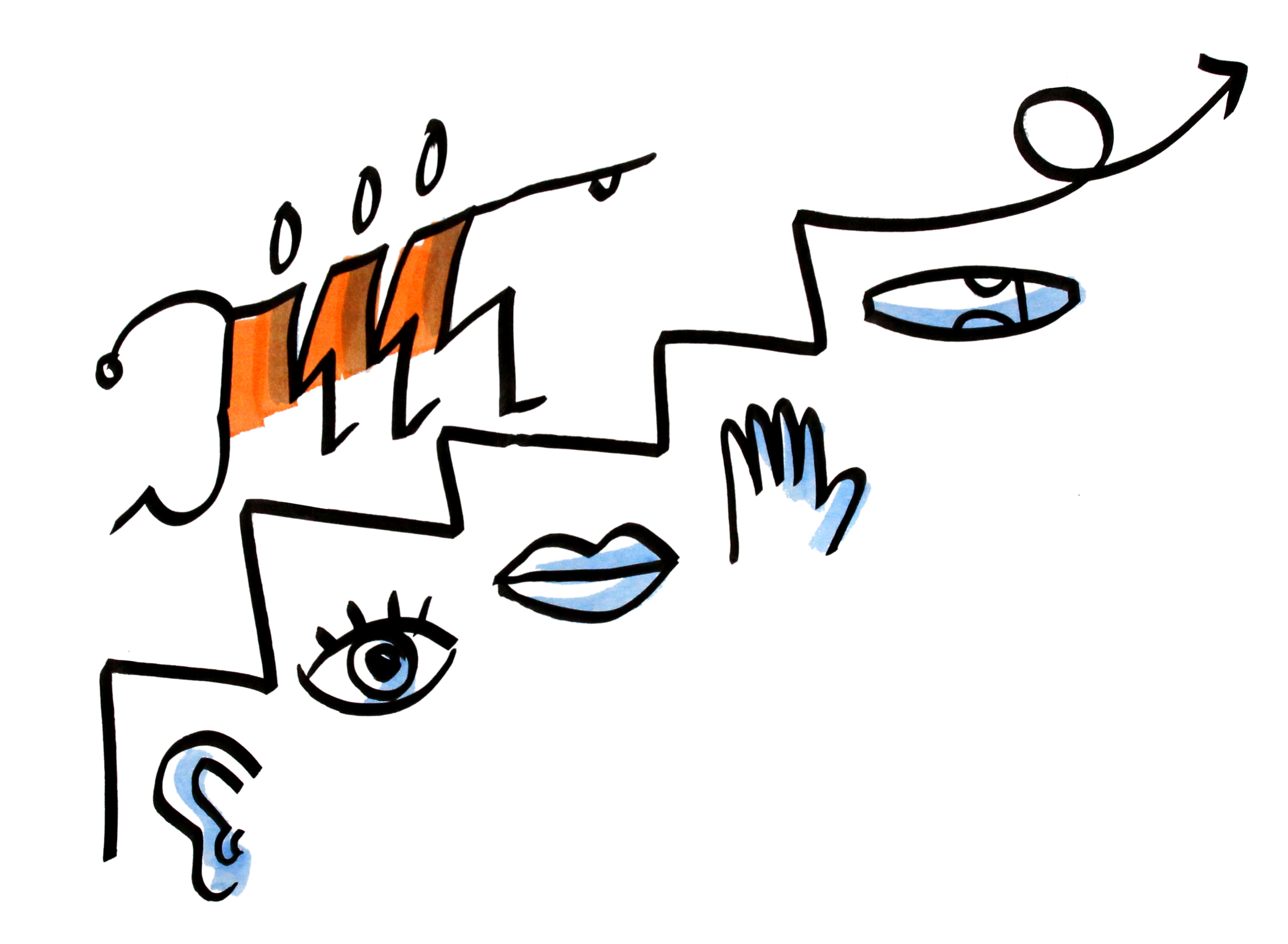 2936x2152 Bikablo Visual Training Jill Langer