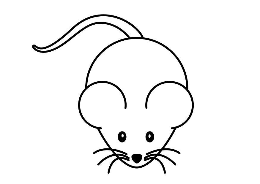 875x620 Coloring Simple Cat Drawing, Mouse Paint