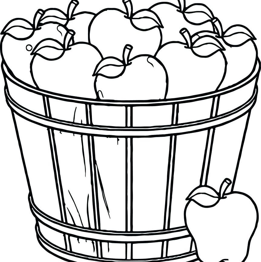 863x864 Food Basket Drawing At Getdrawings Com Free For Personal Use Apple