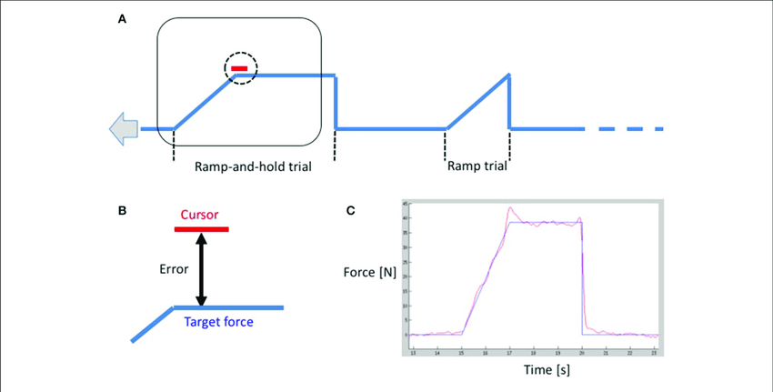 850x431 a a schematic drawing of the functional paradigm showing