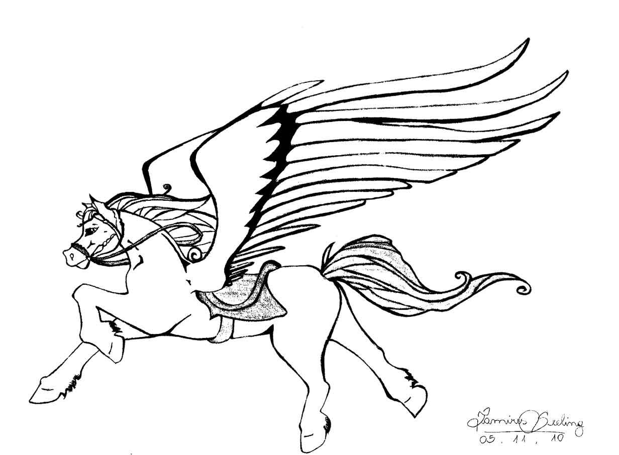 1232x906 Cavalo Alado