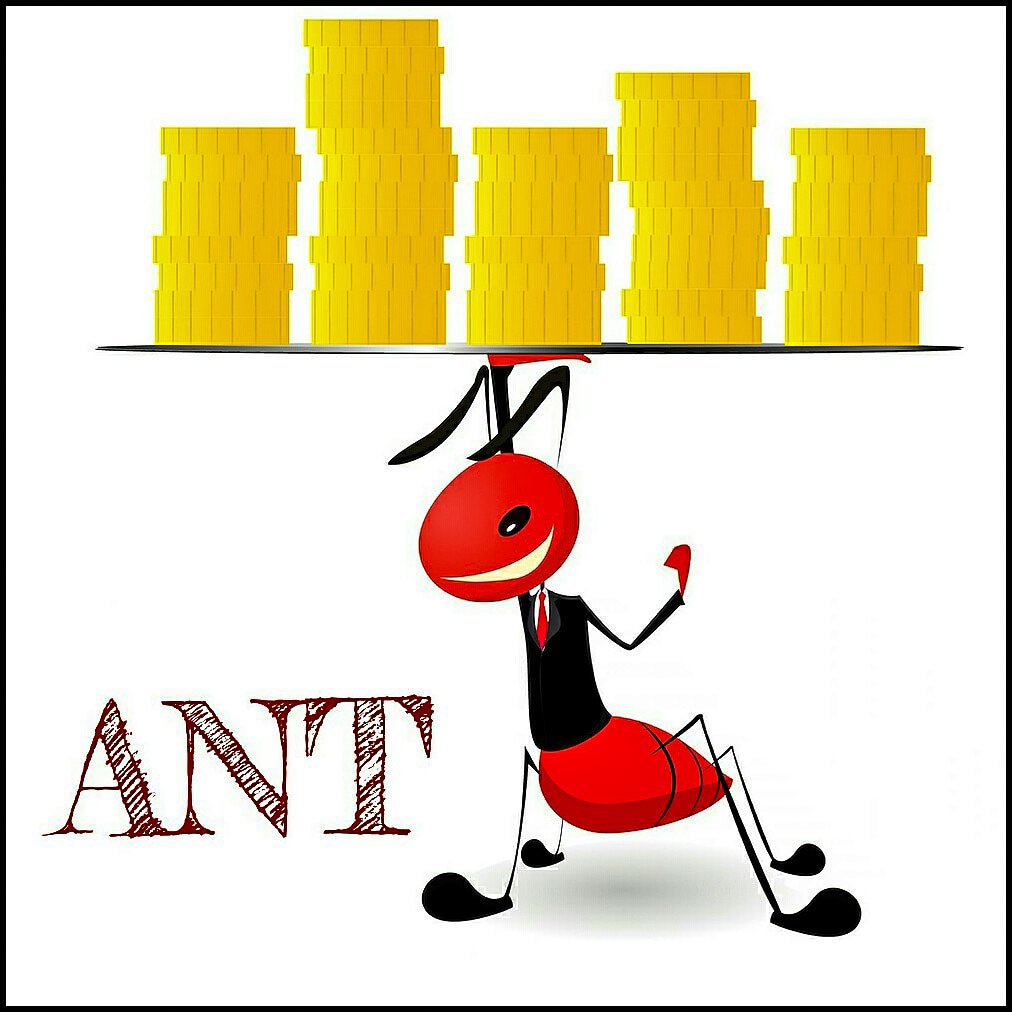 1012x1012 Melchiorre Calvaruso On Twitter