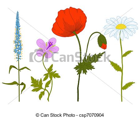 450x380 Vector Field Flowers Vector Field Fantasy Flowers On A White