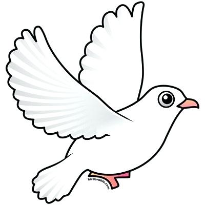 400x400 Easy Bird To Draw How To Draw A Bird Step