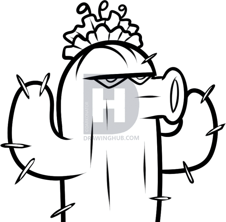 732x720 How To Draw A Cactus, Plants Vs Zombies, Cactus, Step